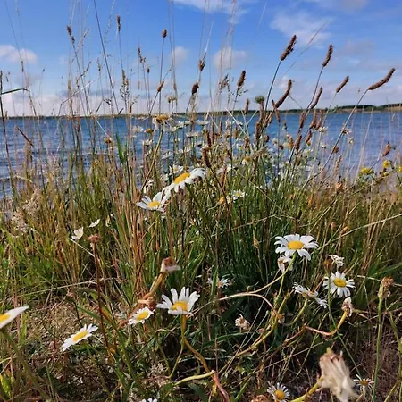 Gemuetliche Vier-zimmer-ferienwohnung 